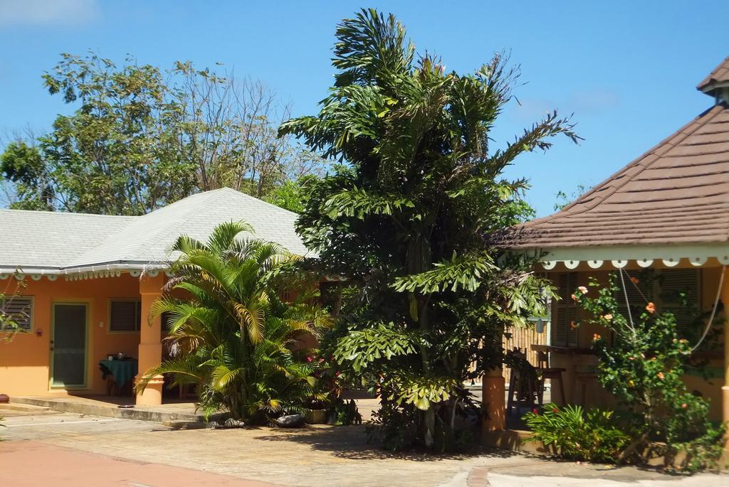 Pimento Lodge Resort Port Antonio Bagian luar foto
