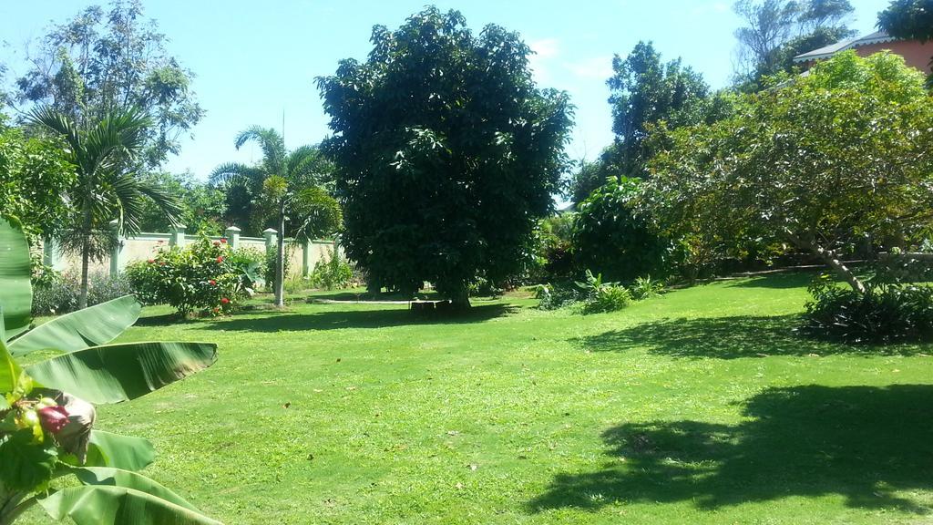 Pimento Lodge Resort Port Antonio Bagian luar foto