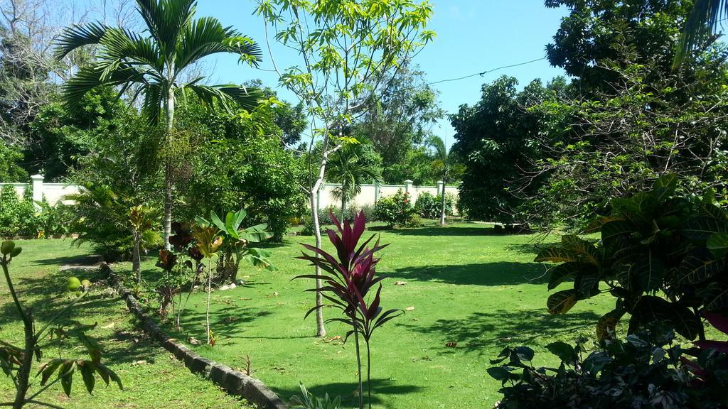 Pimento Lodge Resort Port Antonio Bagian luar foto