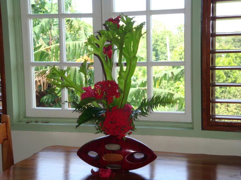 Pimento Lodge Resort Port Antonio Ruang foto