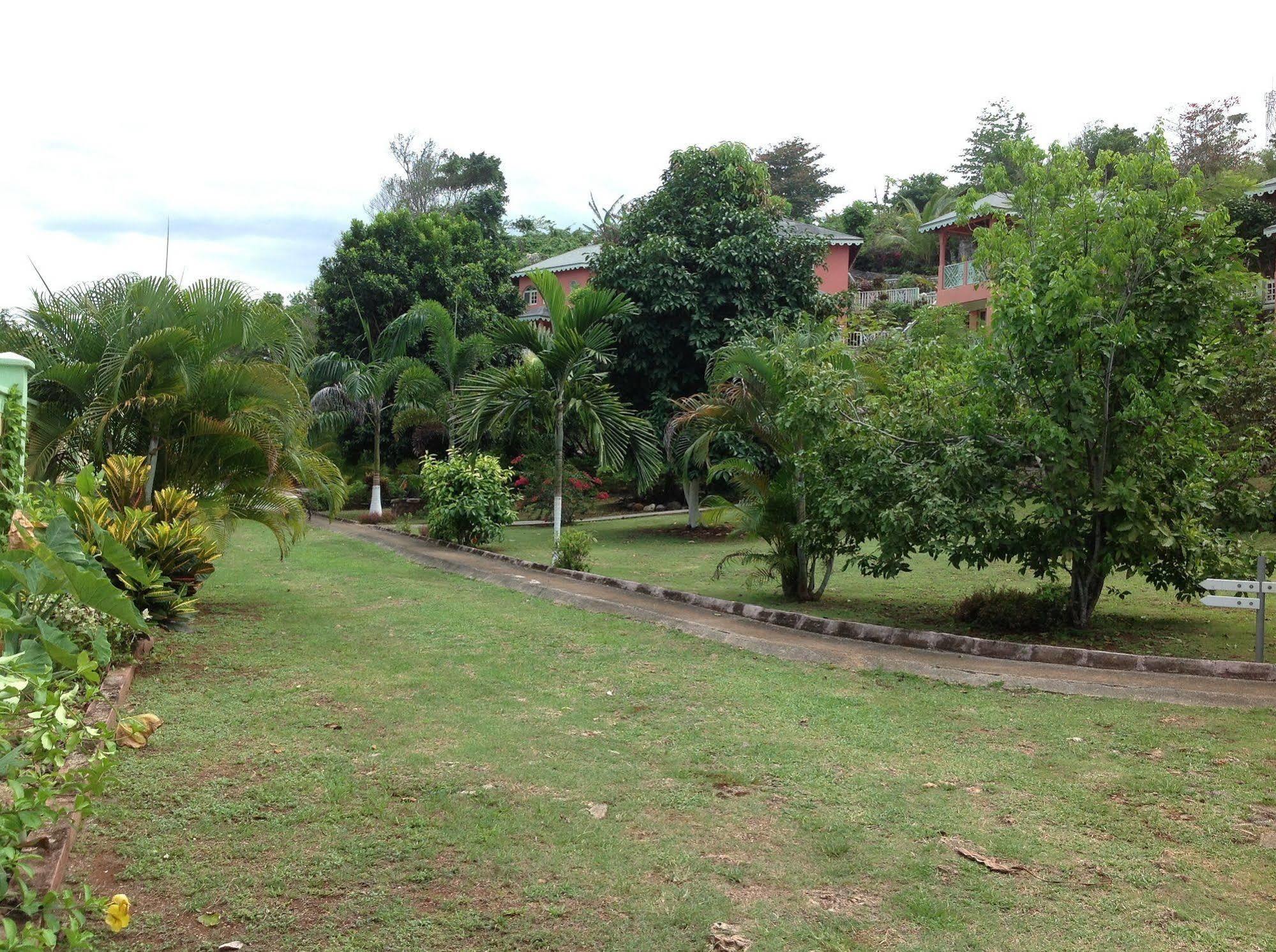 Pimento Lodge Resort Port Antonio Bagian luar foto